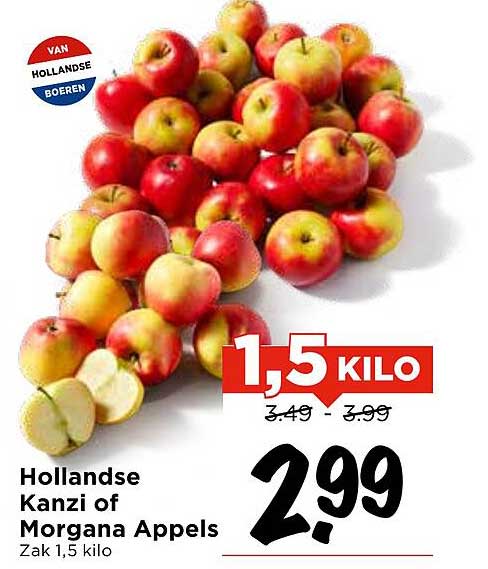 Hollandse Kanzi of Morgana Appels