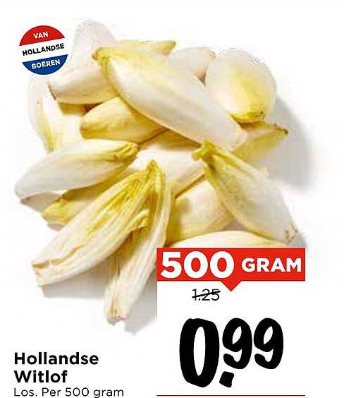 Hollandse Witlof