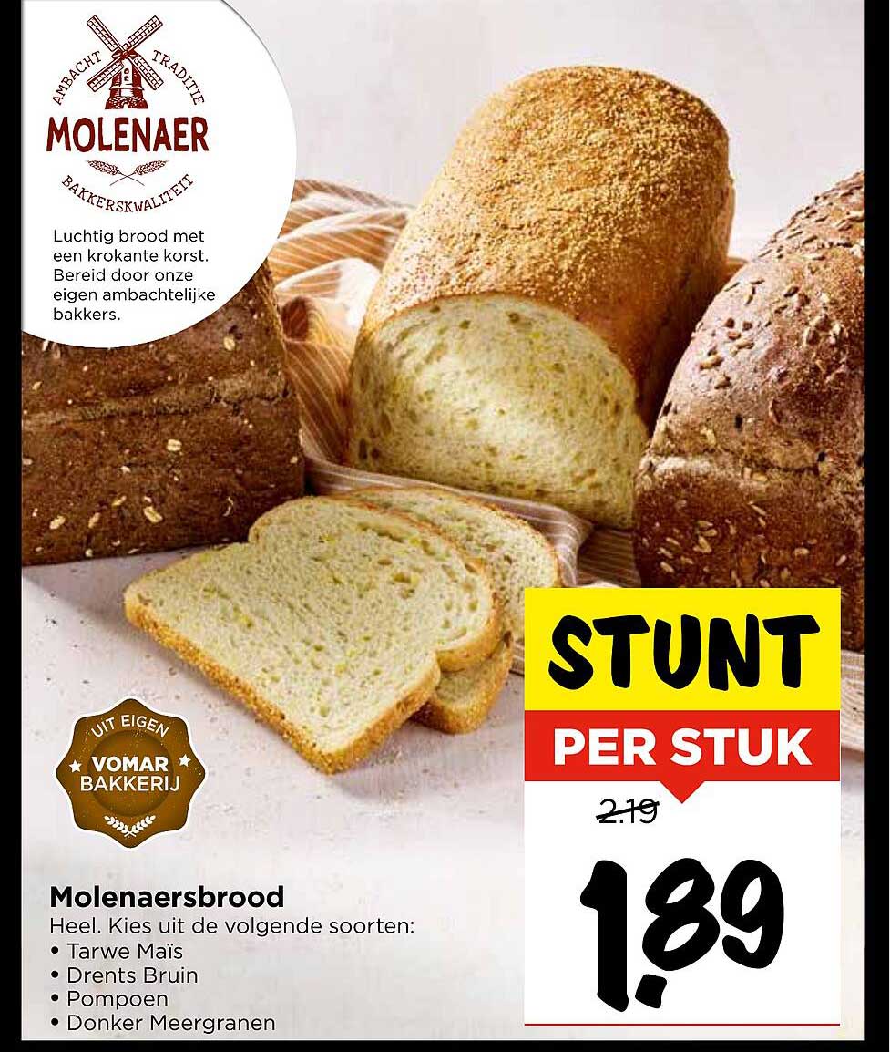 Molenaar's brood