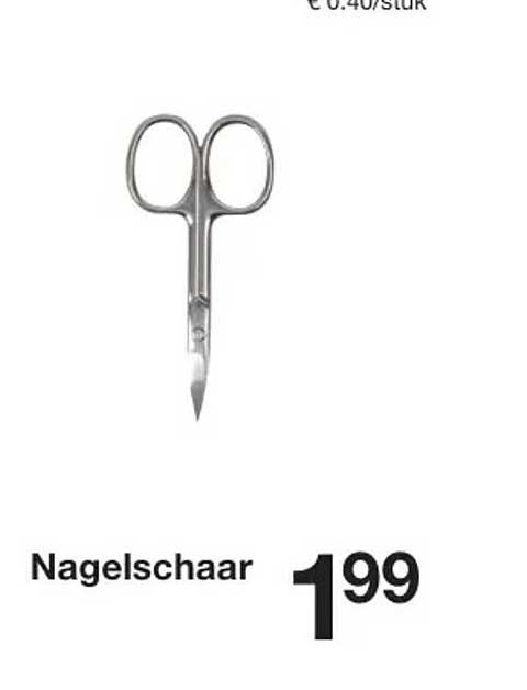 Nagelschaar