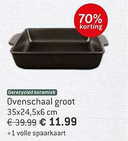Ovenschaal groot