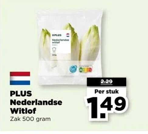 PLUS Nederlandse Witlof