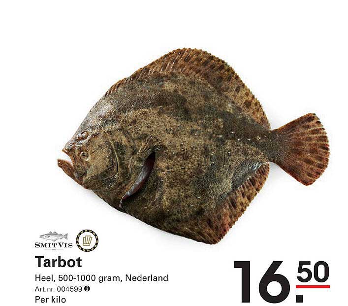 Tarbot Heel, 500-1000 gram, Nederland