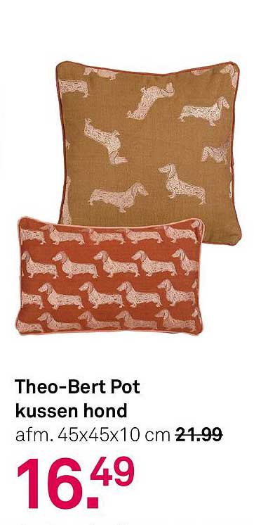 Theo-Bert Pot kussen hond