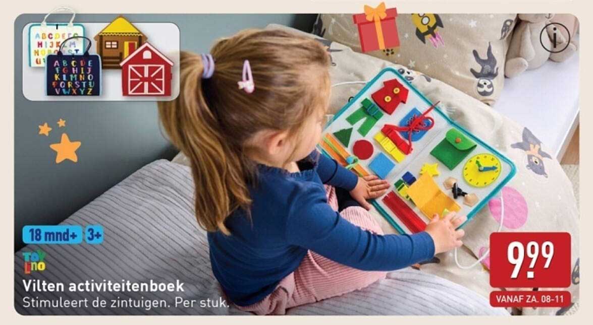 Vilten activiteitenboek