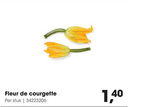 Fleur de courgette