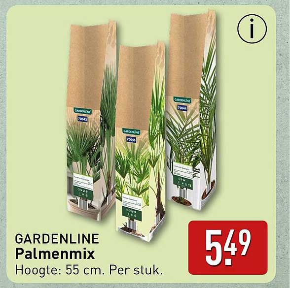 GARDENLINE Palmenmix