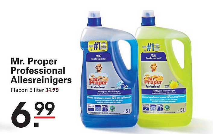 Mr. Proper Professional Allesreinigers Flacon 5 liter 11.79
