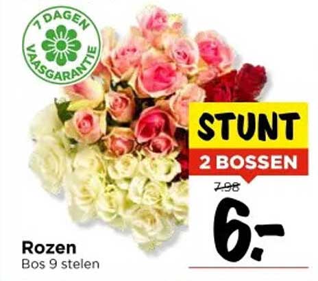 Rozen Bos 9 stelen