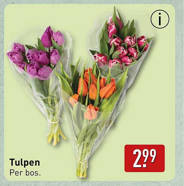 Tulpen