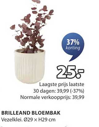 BRILLEAND BLOEMBAK
