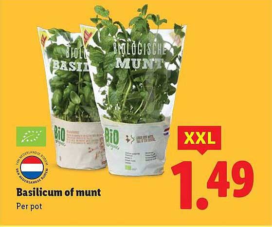 Basilicum of munt