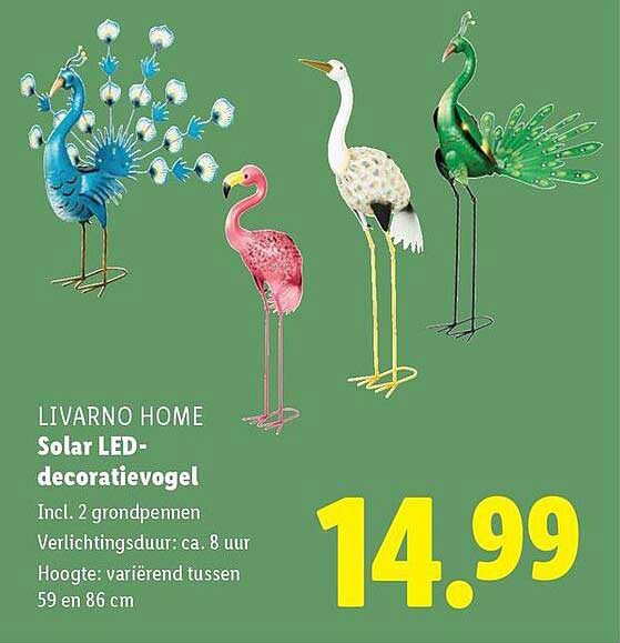 LIVARNO HOME Solar LED-decoratievogel
