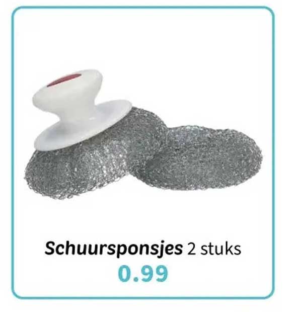 Schuur sponsjes 2 stuks