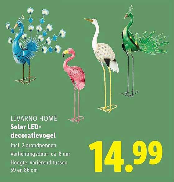 SOLAR LED-decoratievogel