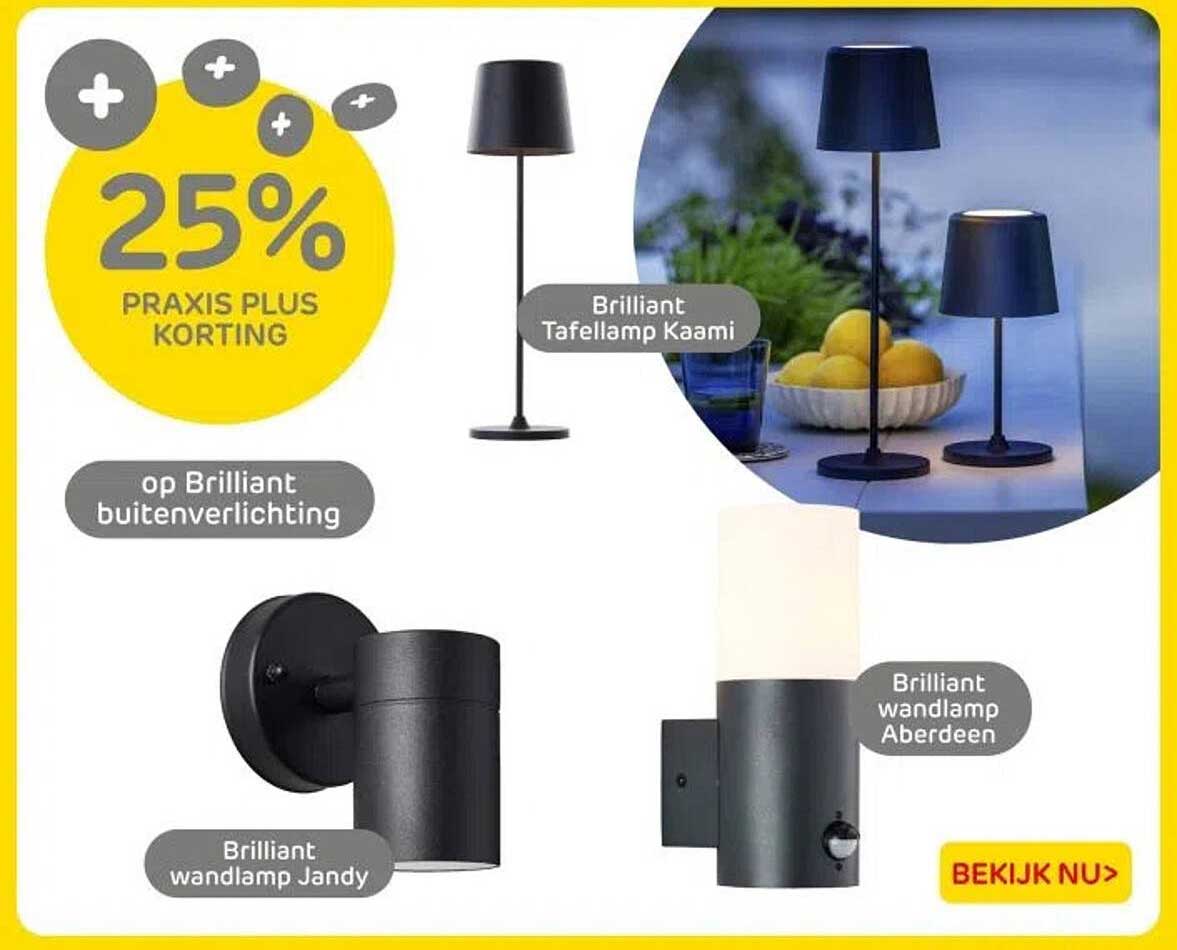 25% PRAKTIJK PLUS KORTING op Brilliant buitenverlichting