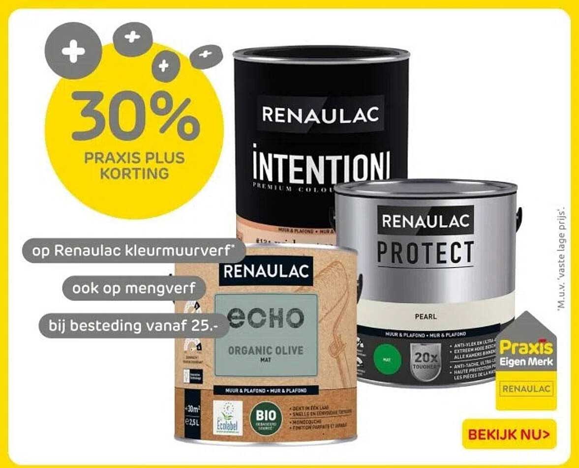 30% PRAxis Plus Korting op Renaulac Kleurverf!