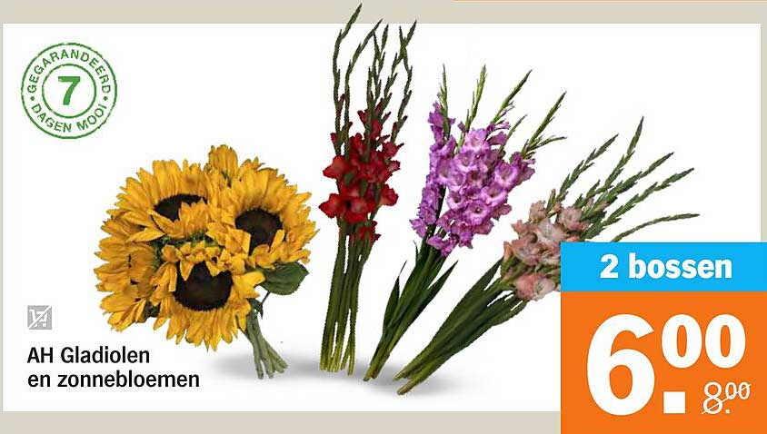 AH Gladiolen en zonnebloemen