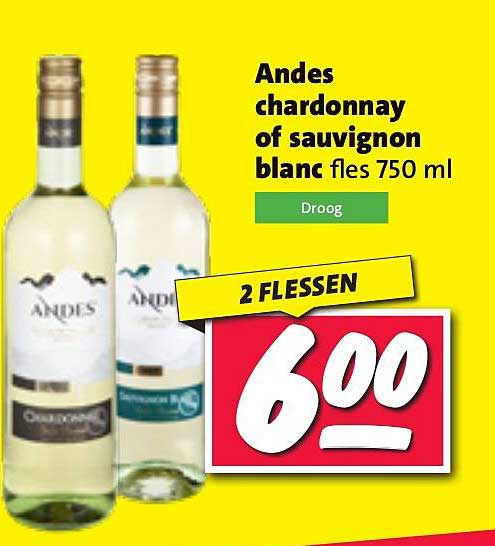 Andes chardonnay of sauvignon blanc fles 750 ml