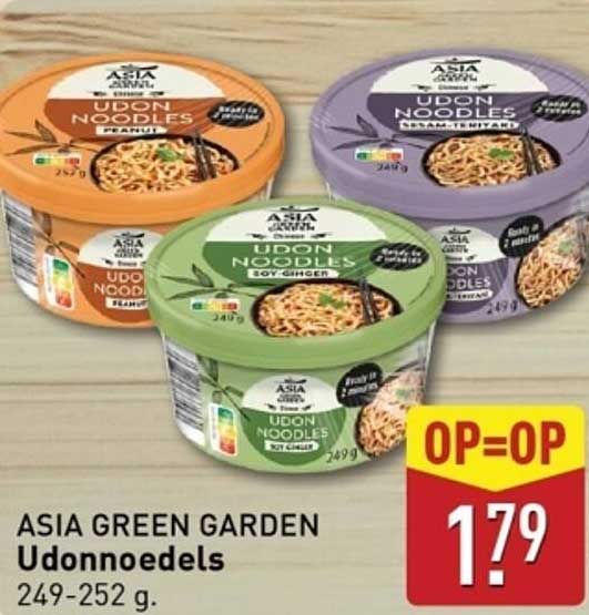 ASIA GREEN GARDEN Udonnoedels