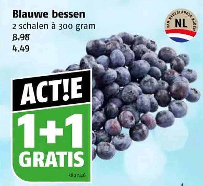 Blauwe bessen 2 schalen à 300 gram