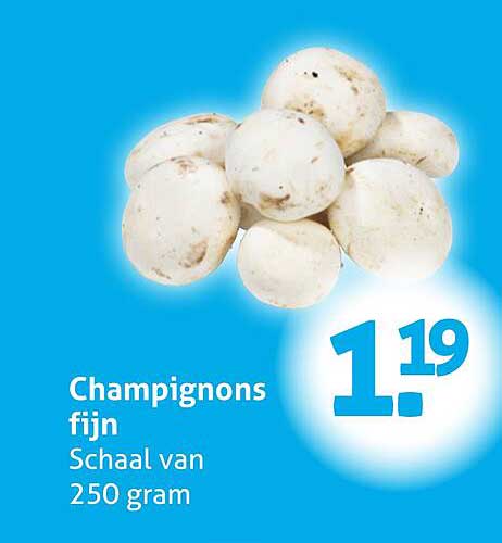 Champignons fijn Schaal van 250 gram