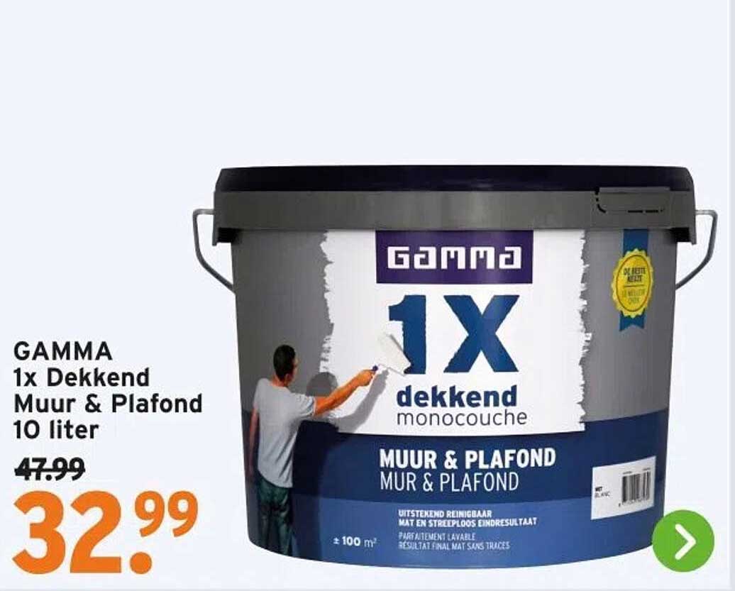 GAMMA 1x Dekkend Muur & Plafond 10 liter