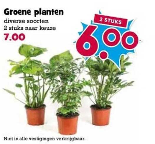 Groene planten