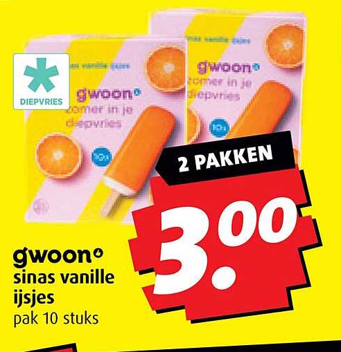 gwoon sinas vanille ijsjes 2 pakketten