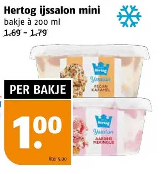 Hertog ijssalon mini bakje à 200 ml
