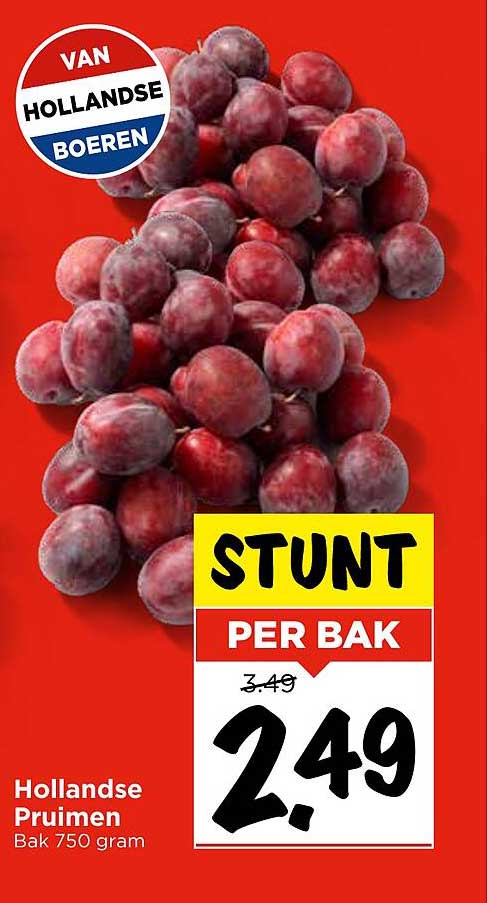 Hollandse Pruimen