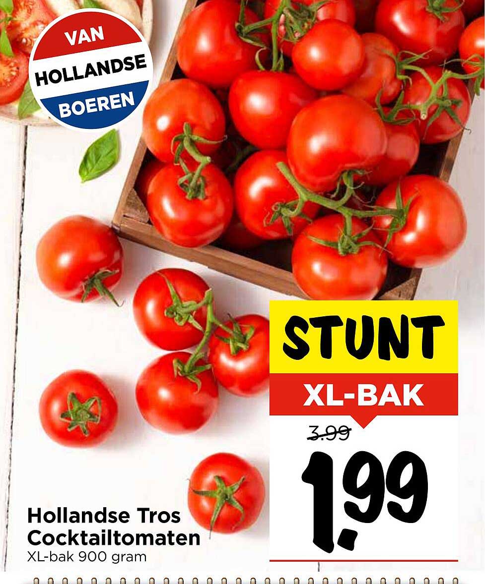 Hollandse Tros Cocktailtomaten XL-bak 900 gram