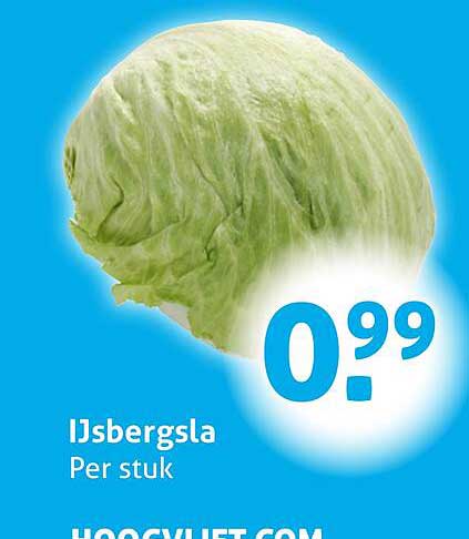 IJsbbergsla Per stuk