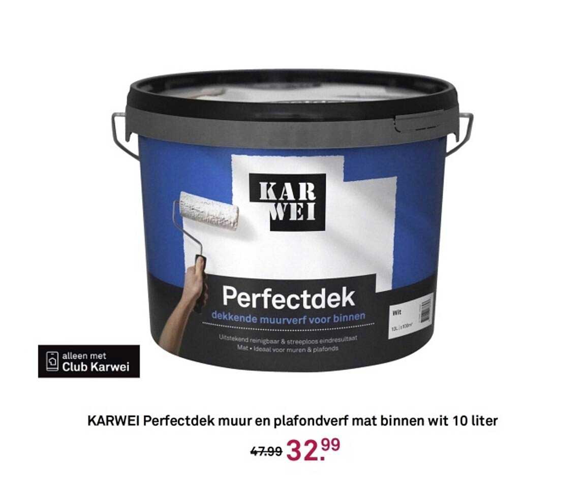 KARWEI Perfectdek muur en plafondverf mat binnen wit 10 liter