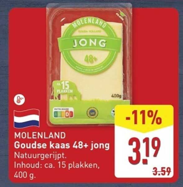 MOLENLAND Goudse kaas 48+ jong