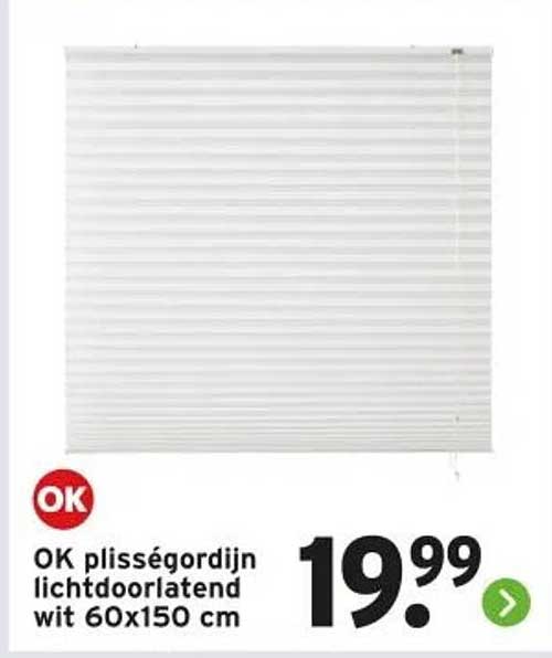 OK plisségordijn lichtdoorlatend wit 60x150 cm