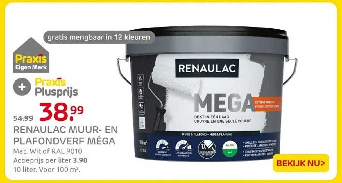 RENAULAC MUUR- EN PLAFONDVERF MÉGA