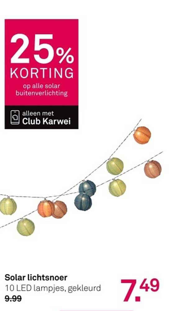 Solar lichtsnoer 10 LED lampjes, gekleurd