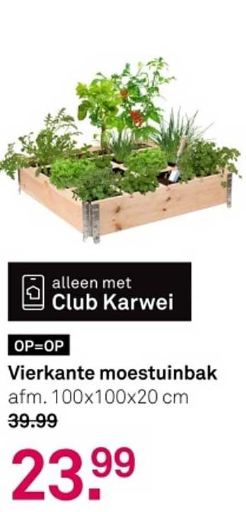 Vierkante moestuinbak afm. 100x100x20 cm