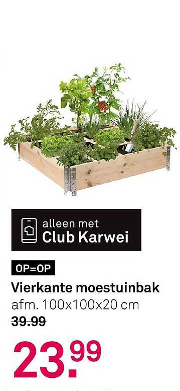 Vierkante moestuinbak afm. 100x100x20 cm