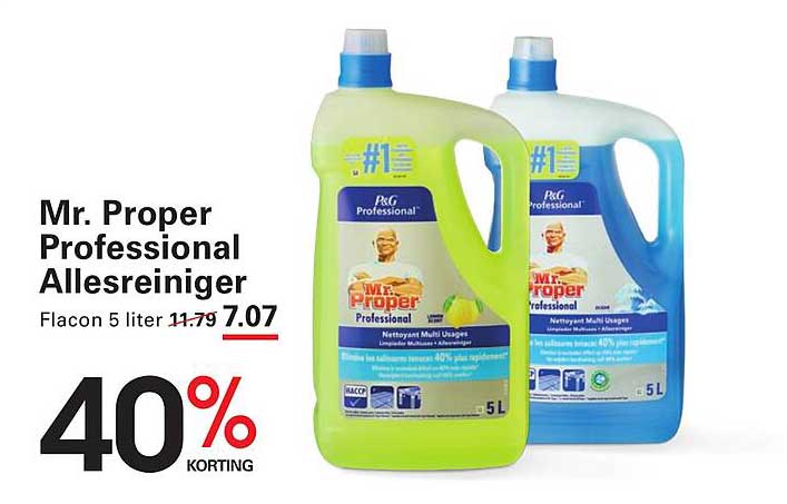 Mr. Proper Professional Allesreiniger
