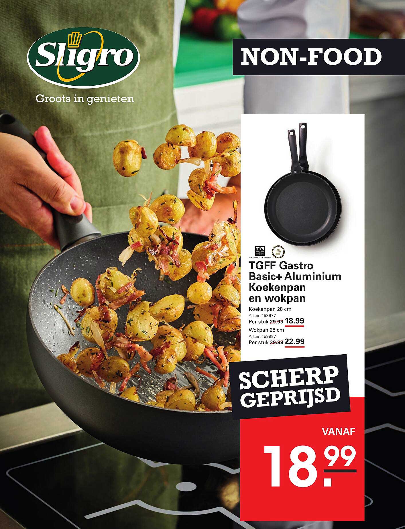 TGFF Gastro Basic+ Aluminium Koekenpan en wokpan