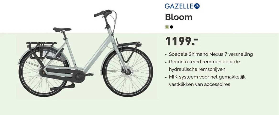 GAZELLE Bloom