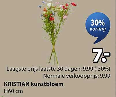 KRISTIAN kunstbloem H60 cm 30% korting
