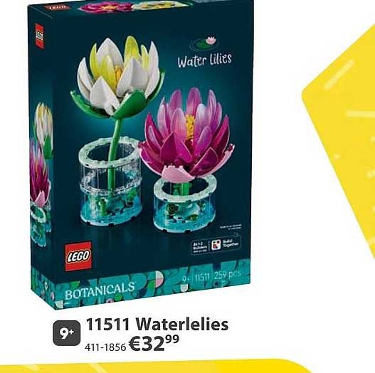11511 Waterlelies