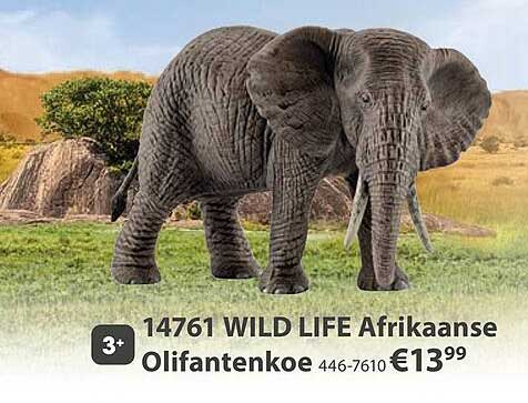 14761 WILD LIFE Afrikaanse Olifantenkoe