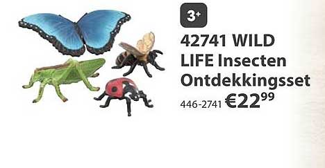42741 WILD LIFE Insecten Ontdekkingsset
