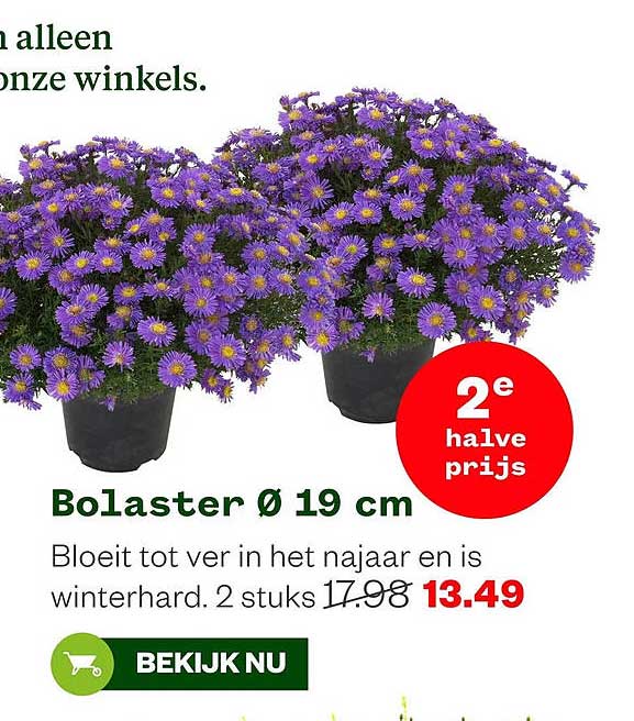 Bolaster Ø 19 cm 2e halve prijs