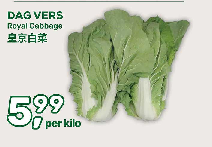 DAG VERS Royal Cabbage
