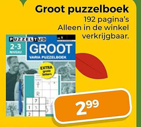 Groot puzzelboek